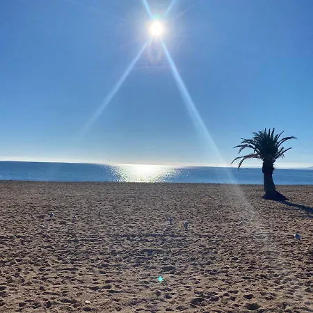 Var 150 M Des Plages * Fréjus